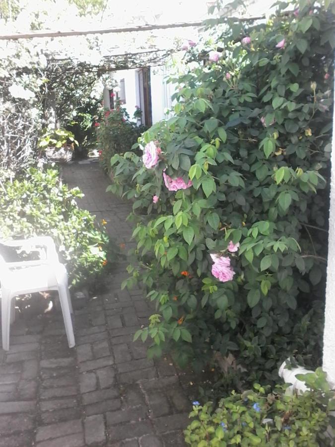 Self Catering Unit 7, Sandbaai Hermanus Dış mekan fotoğraf