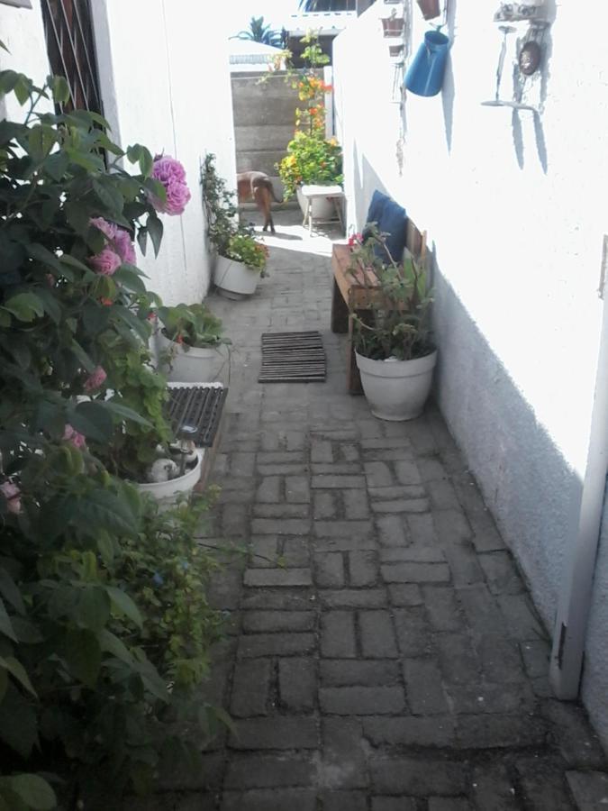 Self Catering Unit 7, Sandbaai Hermanus Dış mekan fotoğraf