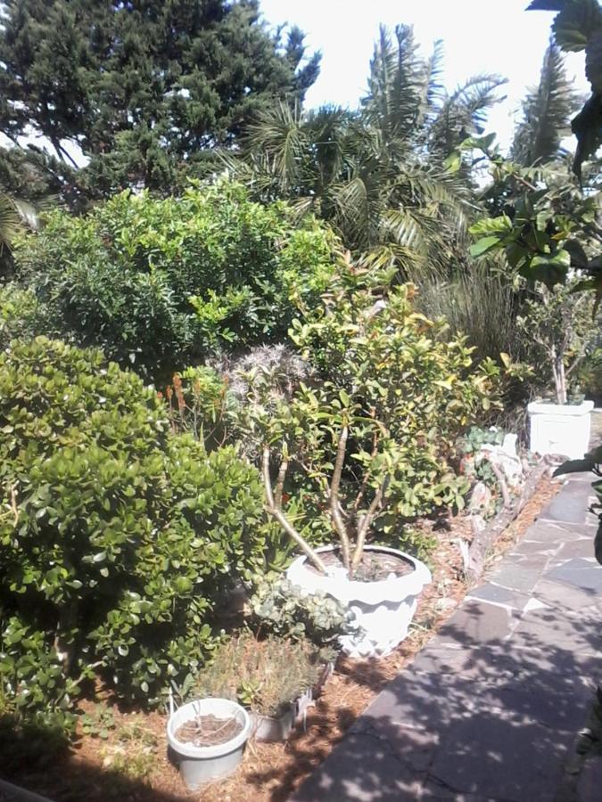 Self Catering Unit 7, Sandbaai Hermanus Dış mekan fotoğraf
